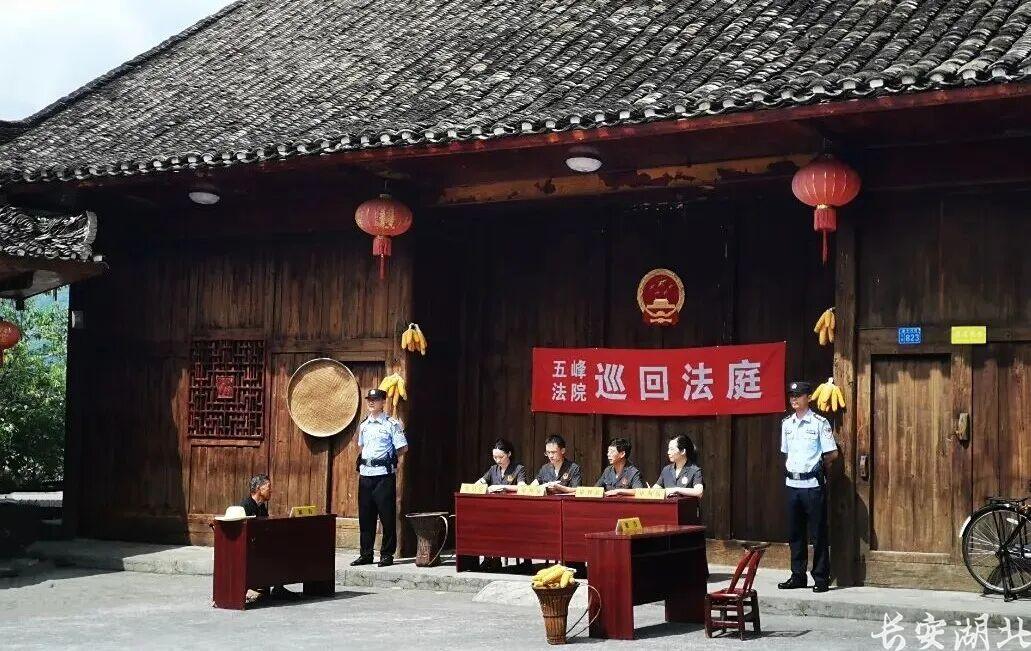 一只背篓，两代初心，他们把法庭“背”进武陵深山